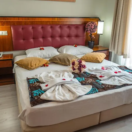 Scylax Mahmutlar 阿拉尼亚